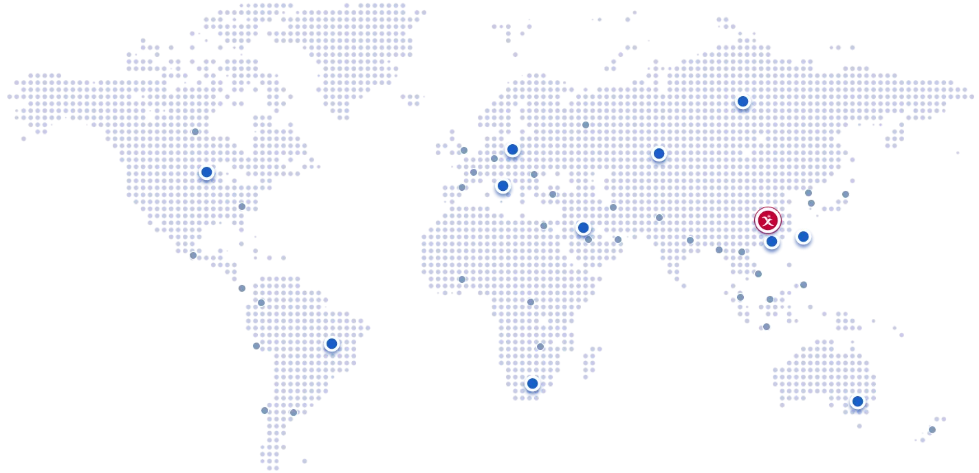 Worldwide Expertise, Localized Solutions